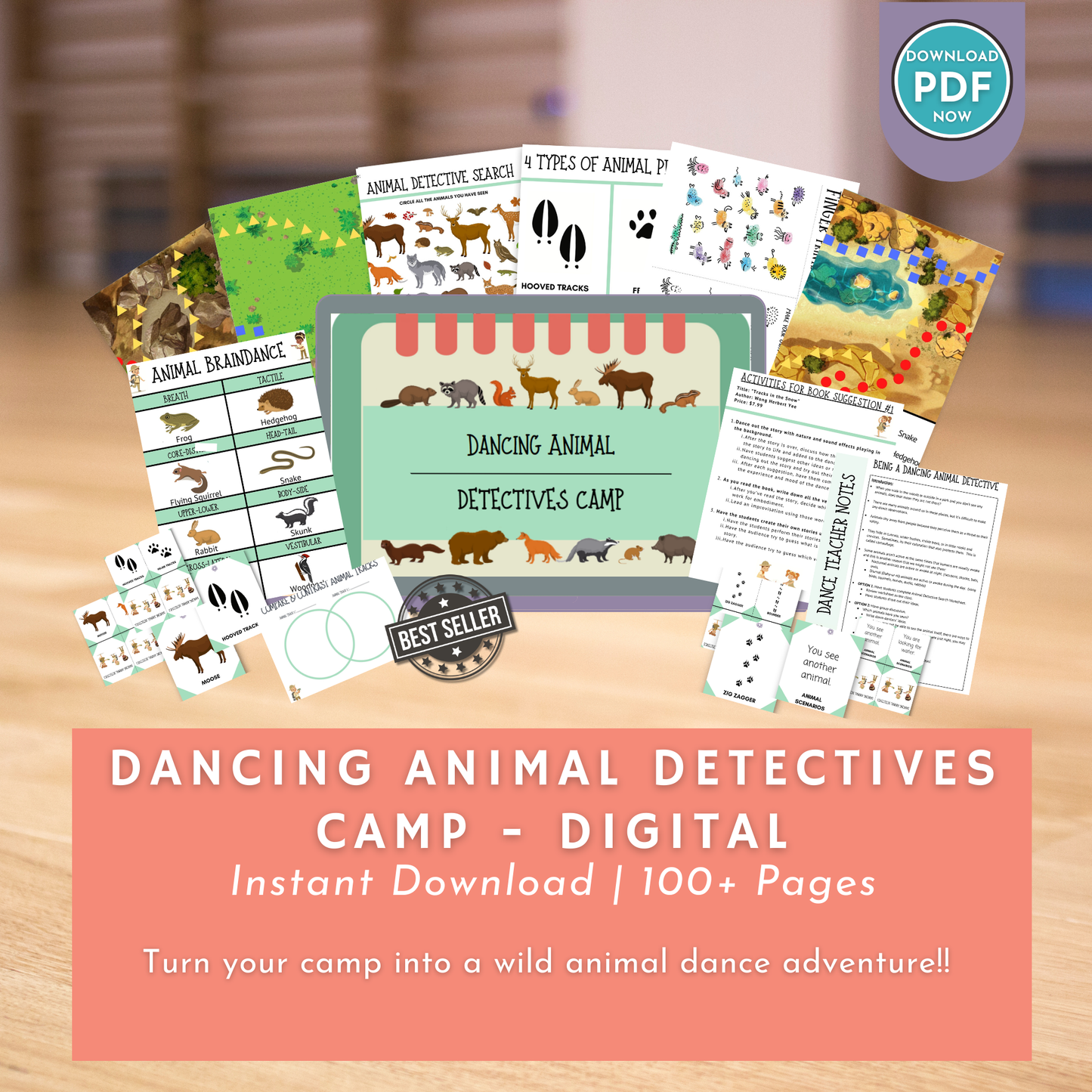 Dancing Animal Detectives Camp