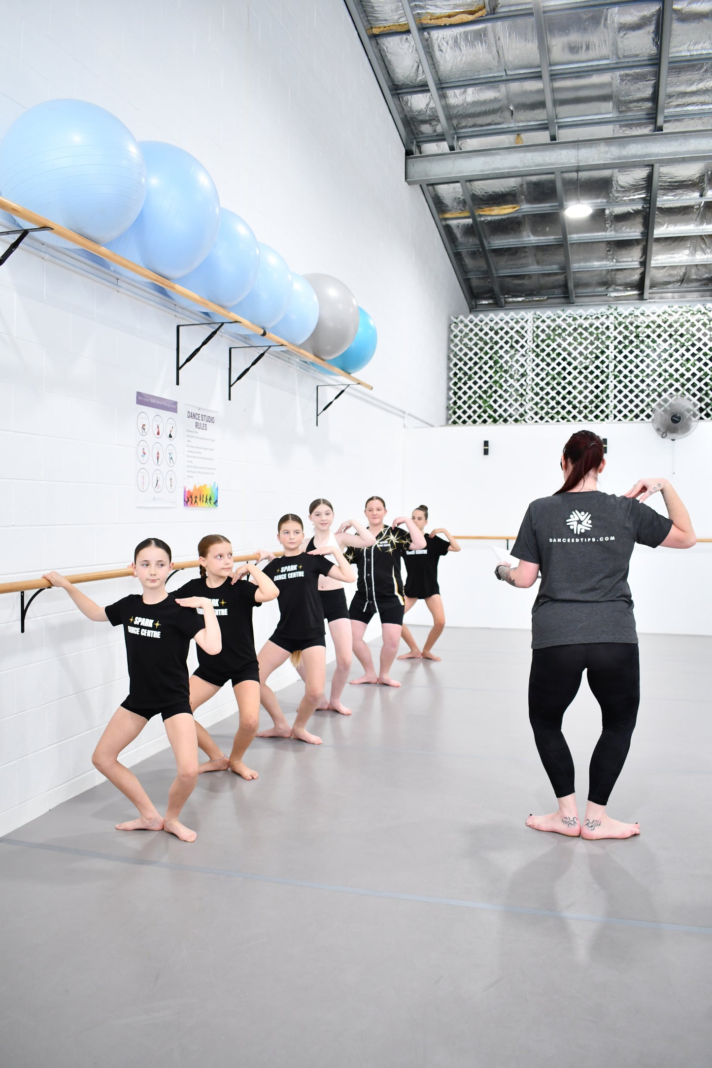 Ballet Foundations Curriculum Kit