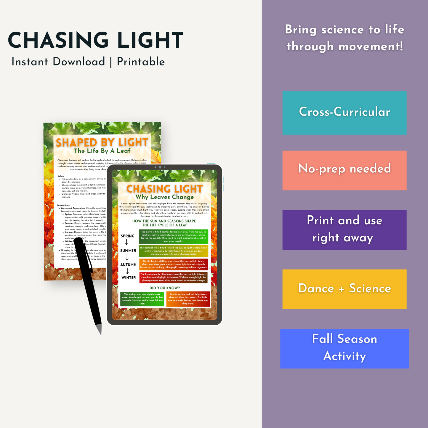 Chasing Light: Why Leaves Change