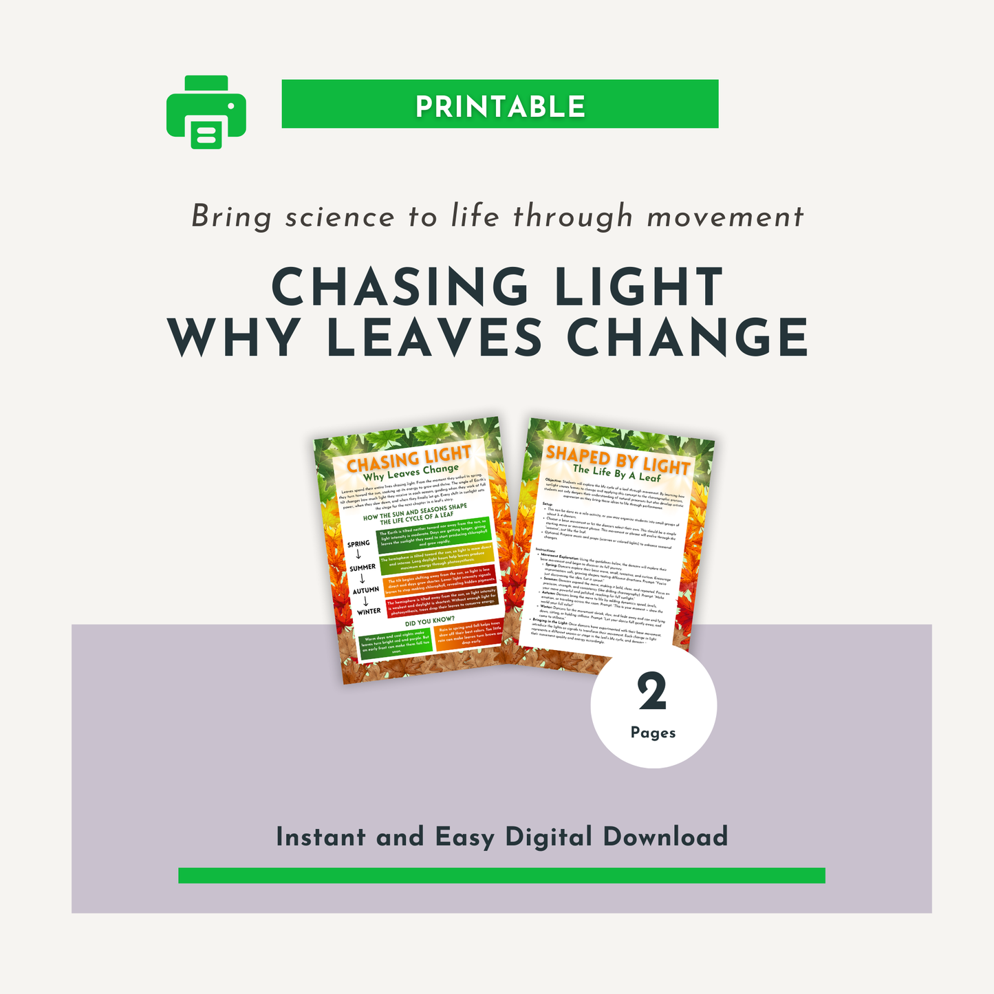 Chasing Light: Why Leaves Change