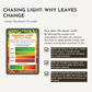 Chasing Light: Why Leaves Change