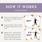 Ballet Demonstration Flash Cards