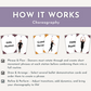 Ballet Demonstration Flash Cards