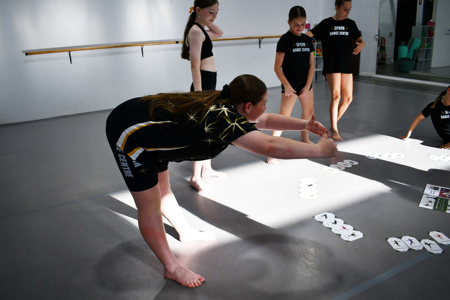 Modern Dance Icons Curriculum Kit