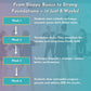 Jazz & Ballet Foundations Kit Digital Bundle