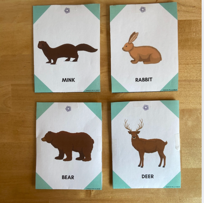 Dancing Animal Detectives Unit