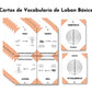 Cartas de Vocabulario de Laban Básico